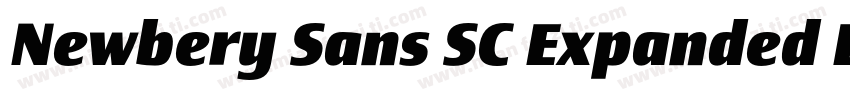 Newbery Sans SC Expanded ExtraBold字体转换